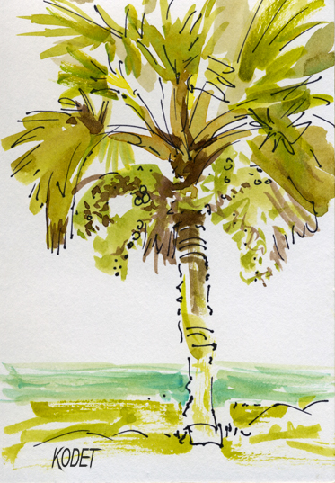 palm